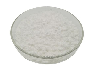L Glutamine Powder