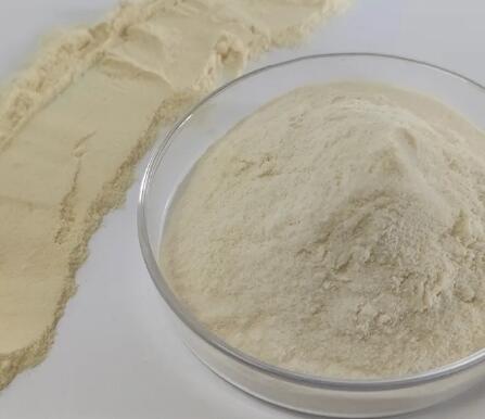 Wholesale Whey Protein Isolate