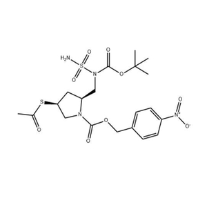ACS-PNZ-PYRROLIDYL-(BOC)-NSO2NH2 