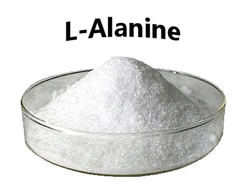 Beta Alanine Powder